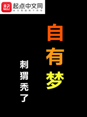 小说主角驾驶飞船坠毁异世